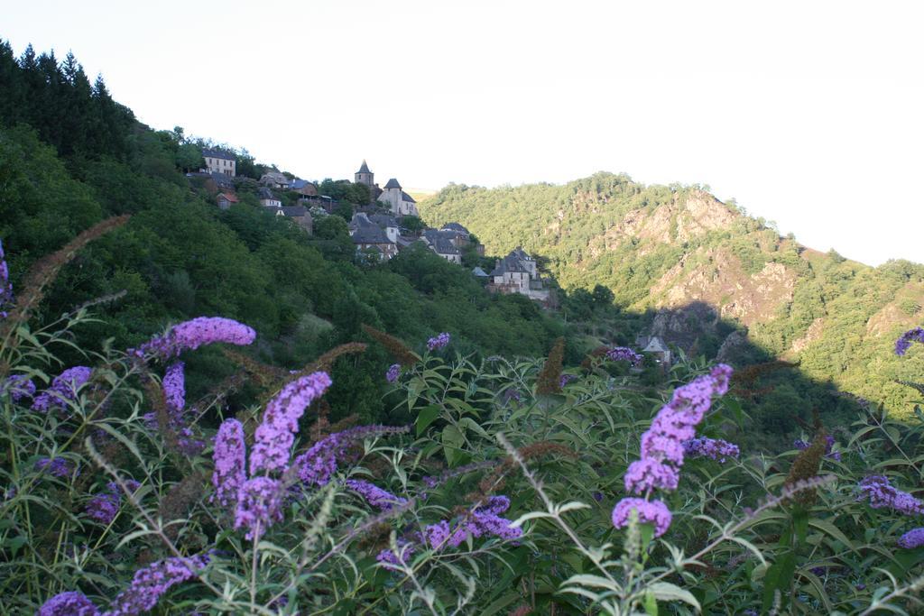 Campsite Moulin De Chaules